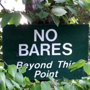 No Bares sign buried deep in the foliage